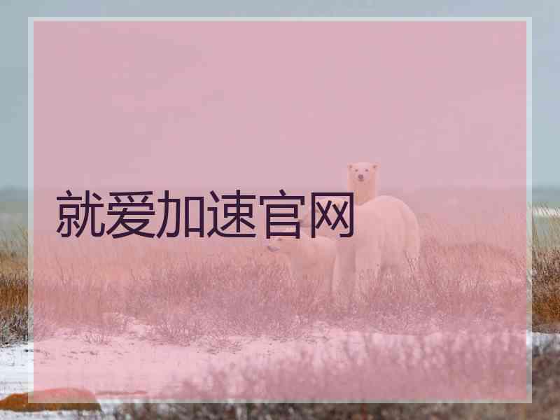 就爱加速官网
