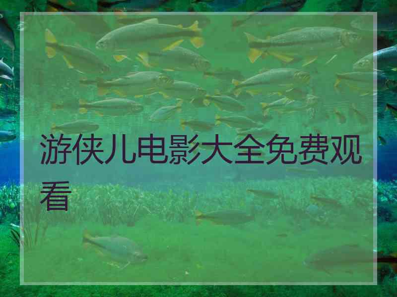 游侠儿电影大全免费观看