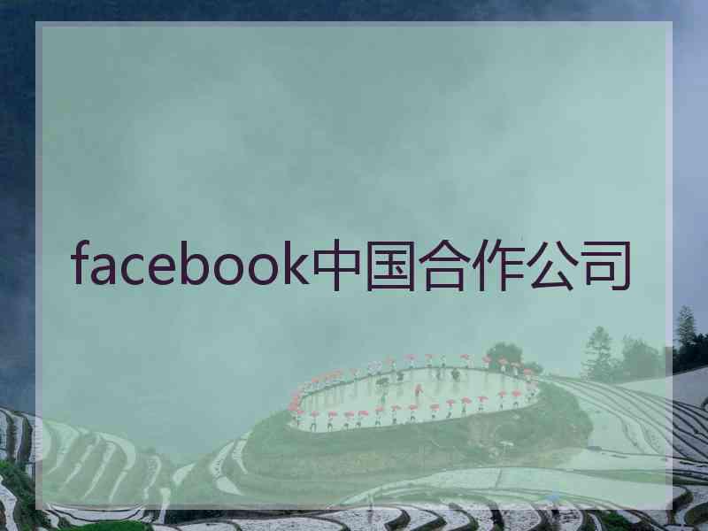 facebook中国合作公司