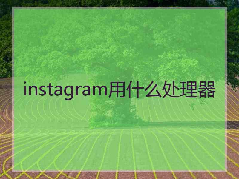 instagram用什么处理器