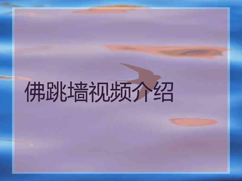 佛跳墙视频介绍