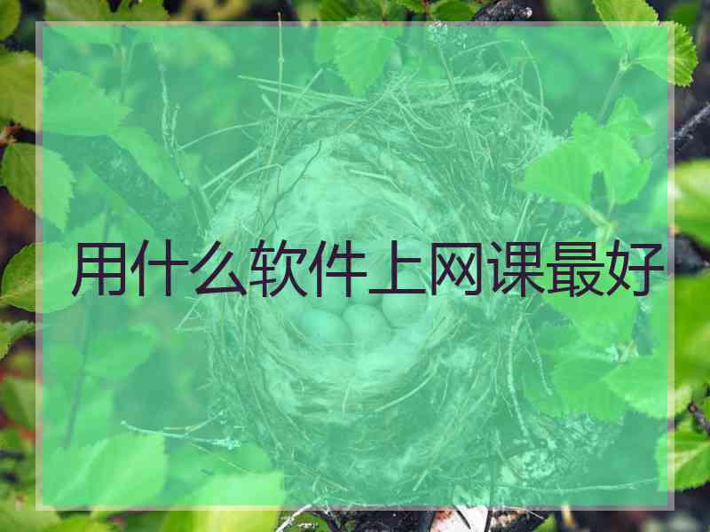用什么软件上网课最好