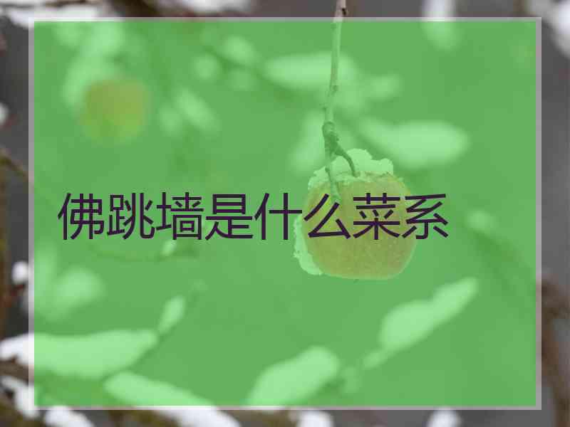 佛跳墙是什么菜系