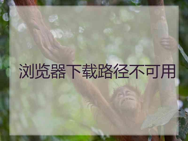 浏览器下载路径不可用
