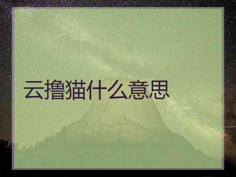 云撸猫什么意思