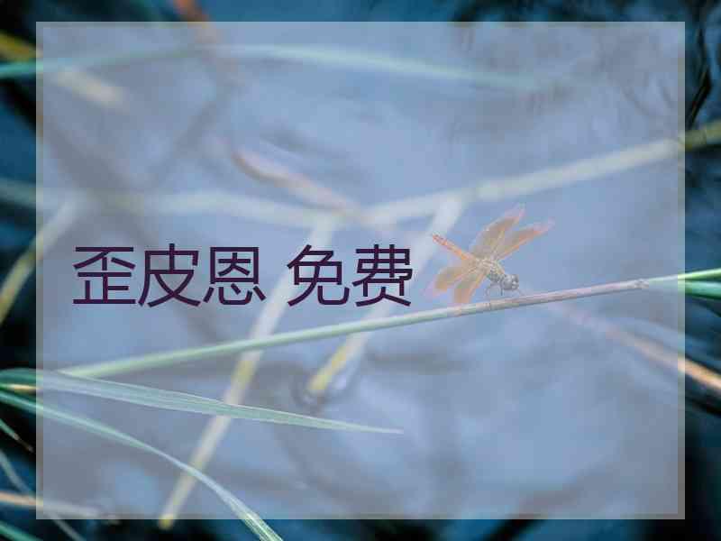 歪皮恩 免费