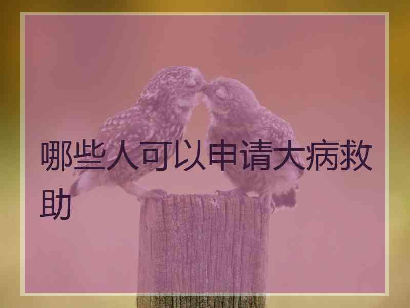 哪些人可以申请大病救助