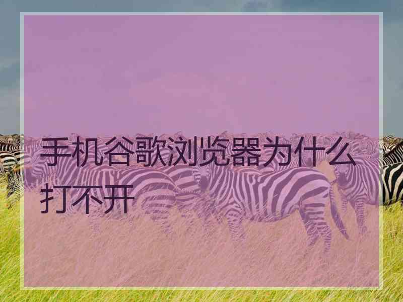 手机谷歌浏览器为什么打不开