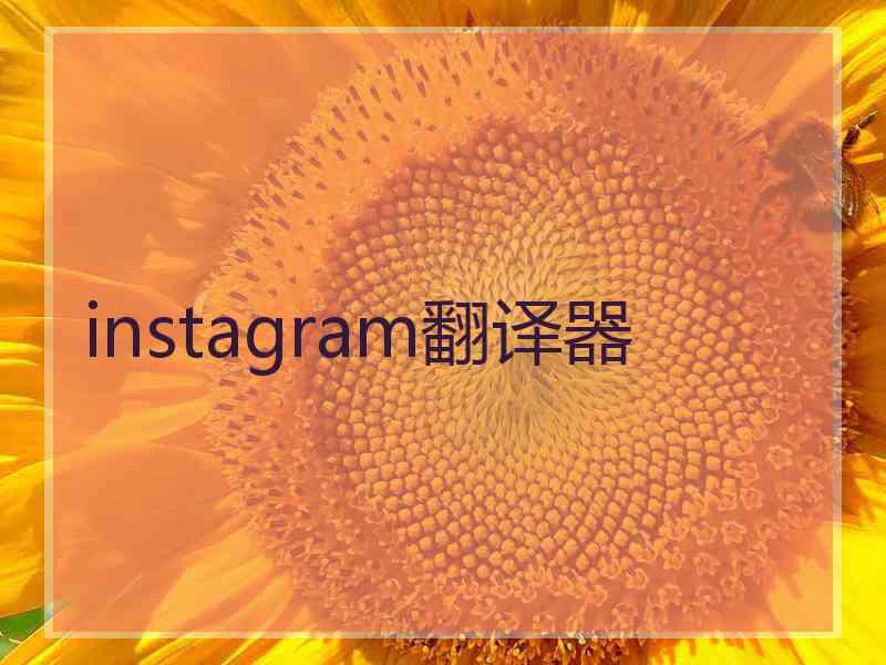 instagram翻译器