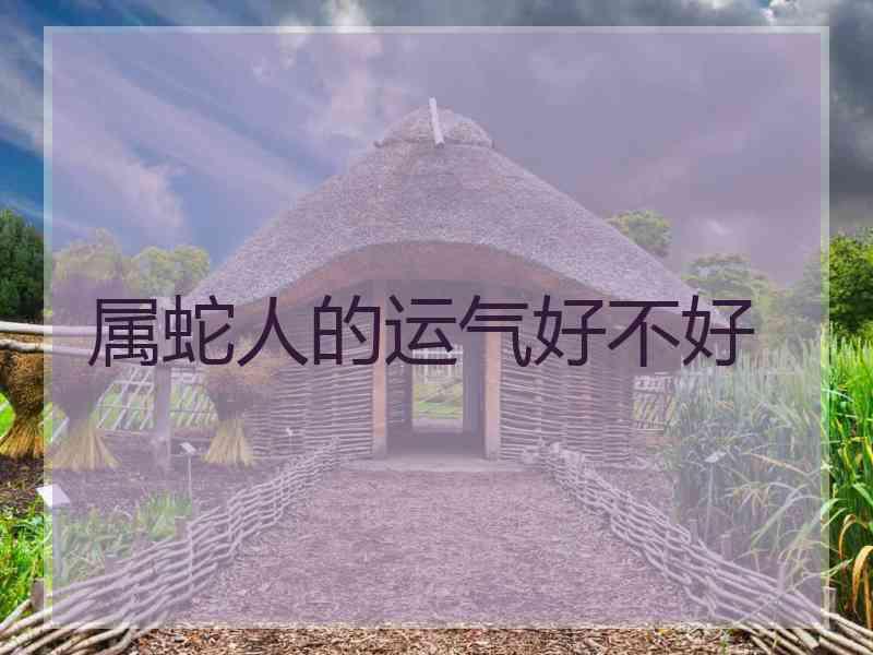 属蛇人的运气好不好