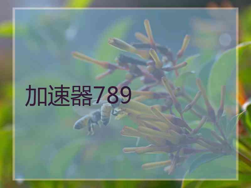 加速器789