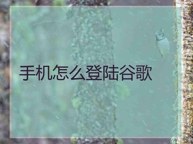 手机怎么登陆谷歌