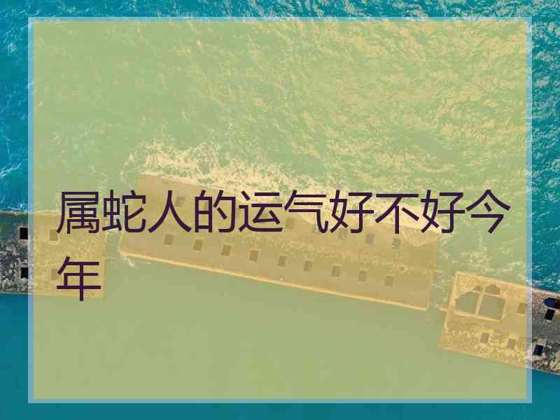 属蛇人的运气好不好今年