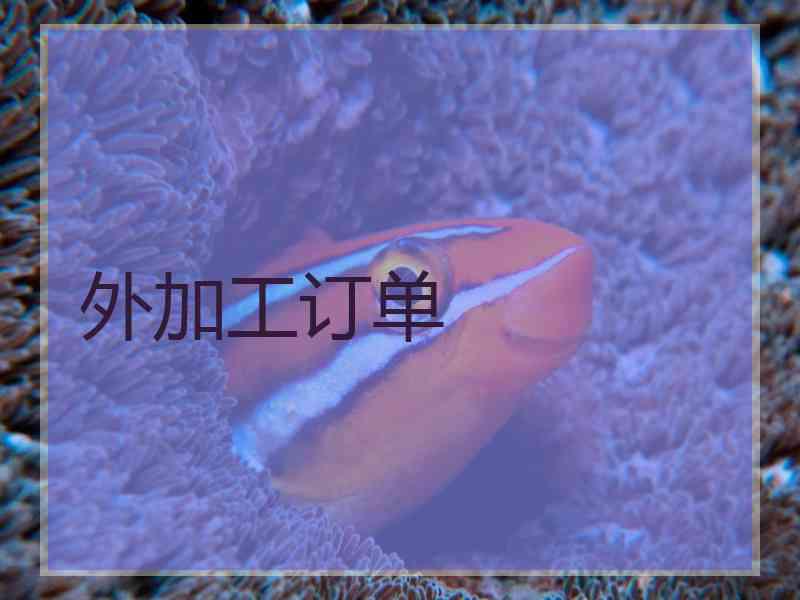 外加工订单