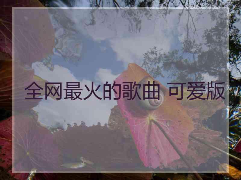全网最火的歌曲 可爱版