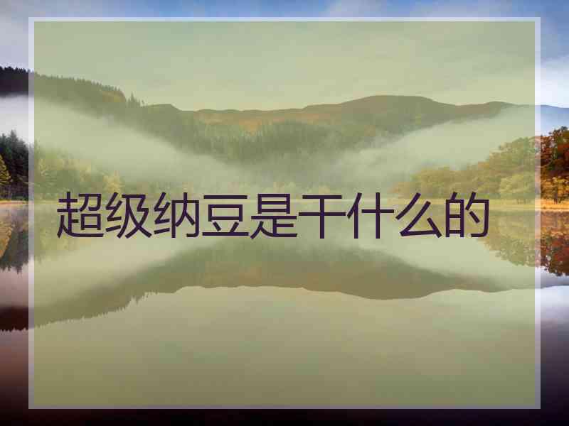 超级纳豆是干什么的