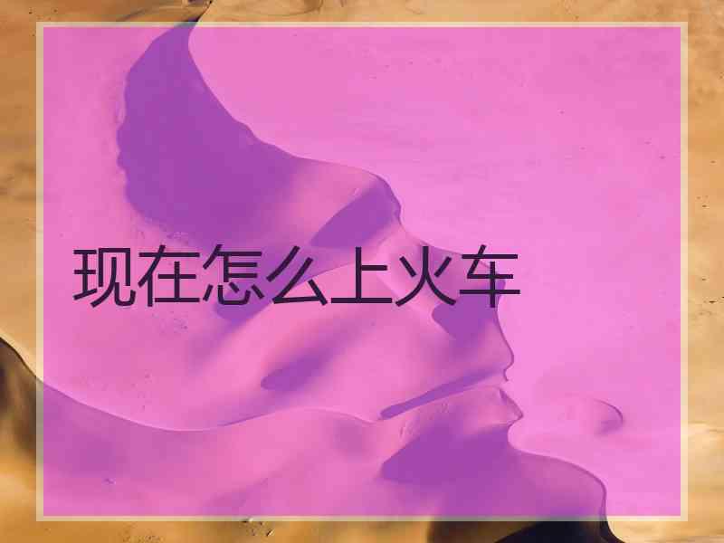 现在怎么上火车