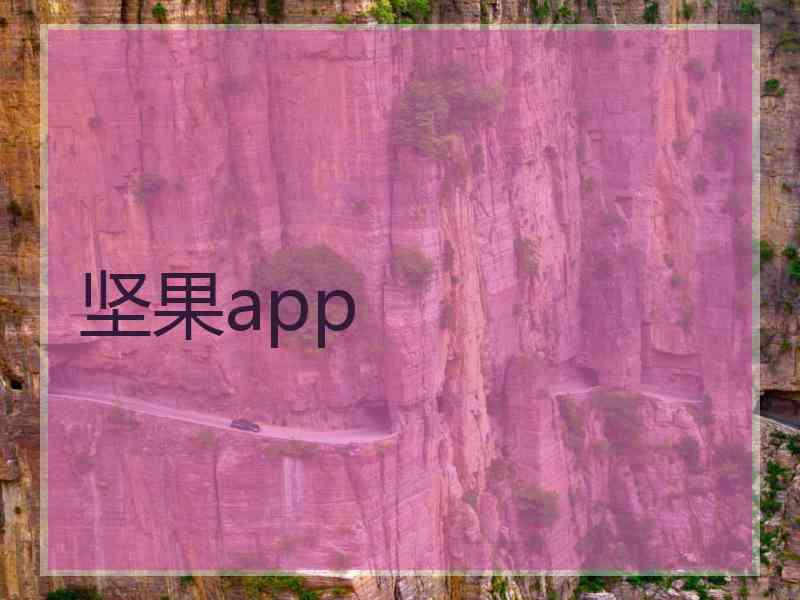 坚果app