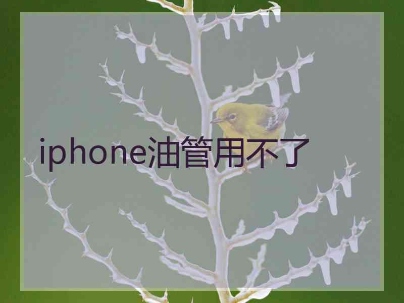 iphone油管用不了