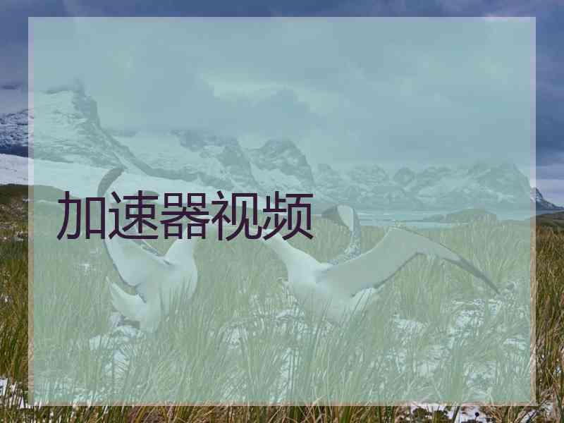 加速器视频