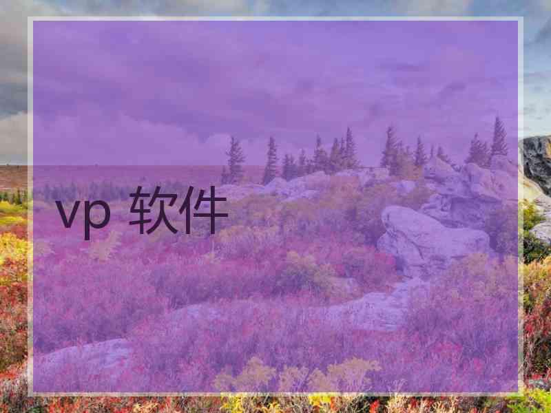 vp 软件