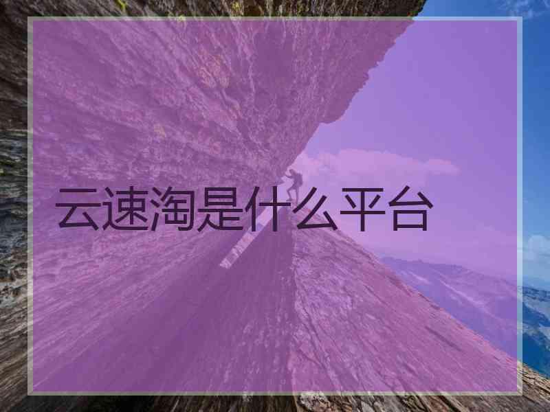 云速淘是什么平台
