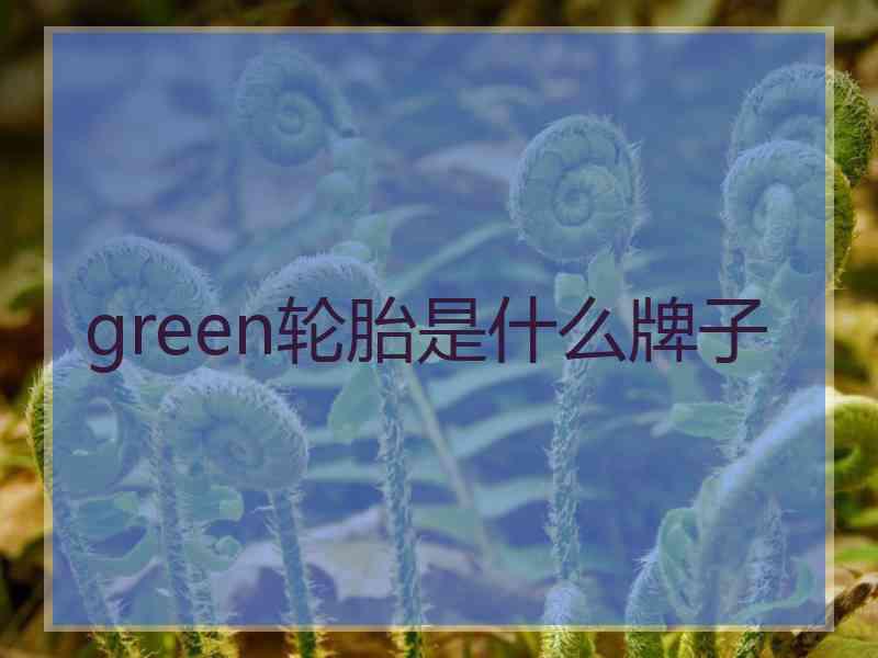 green轮胎是什么牌子