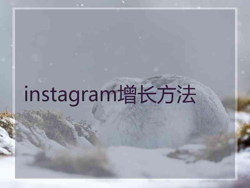 instagram增长方法