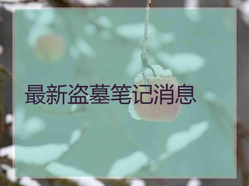 最新盗墓笔记消息