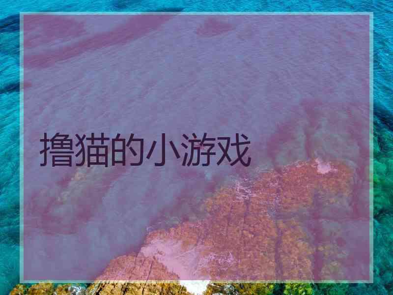 撸猫的小游戏