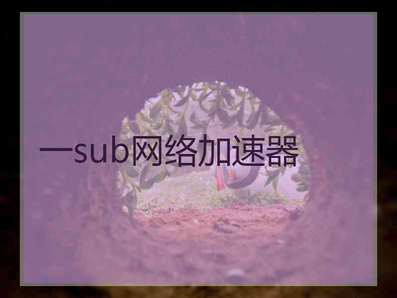 一sub网络加速器