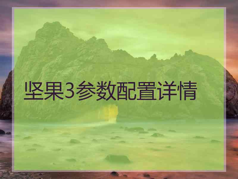 坚果3参数配置详情