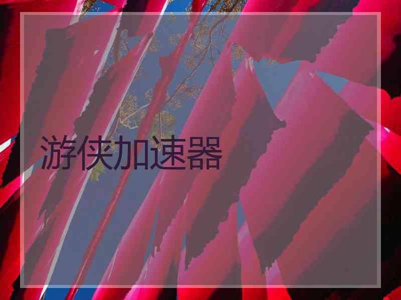 游侠加速器