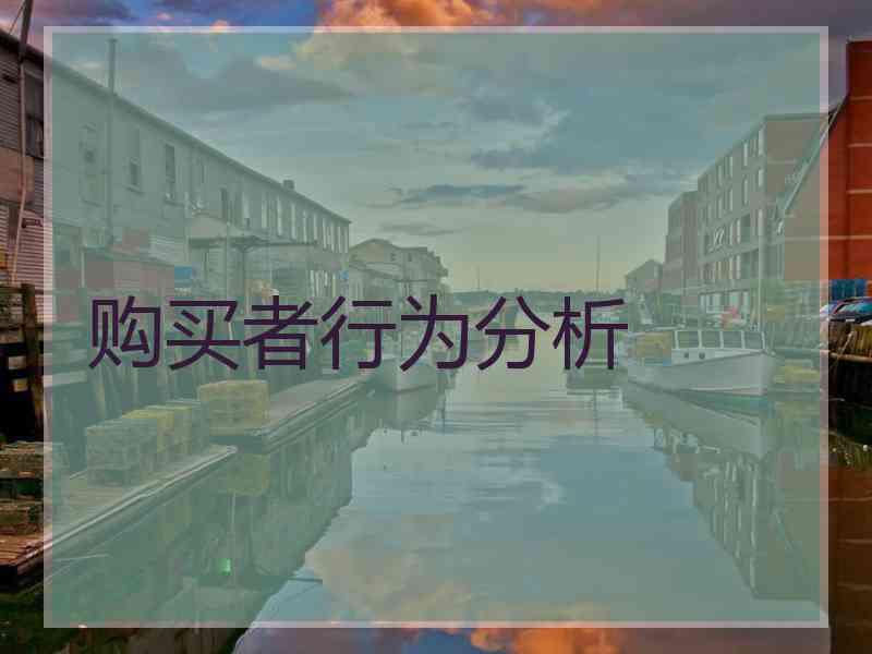 购买者行为分析