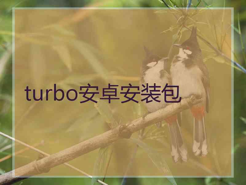 turbo安卓安装包