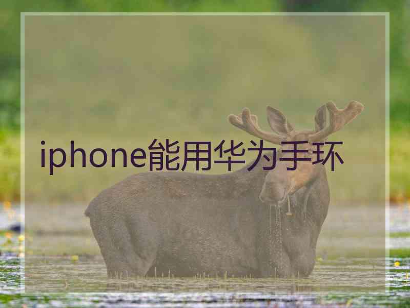 iphone能用华为手环