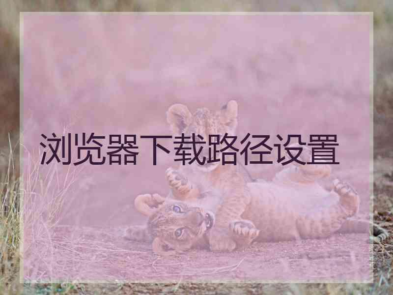 浏览器下载路径设置