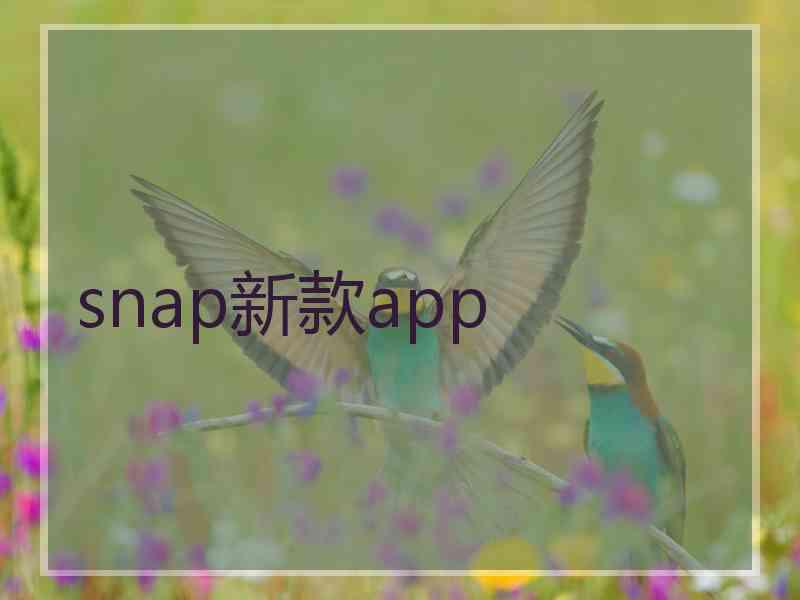 snap新款app