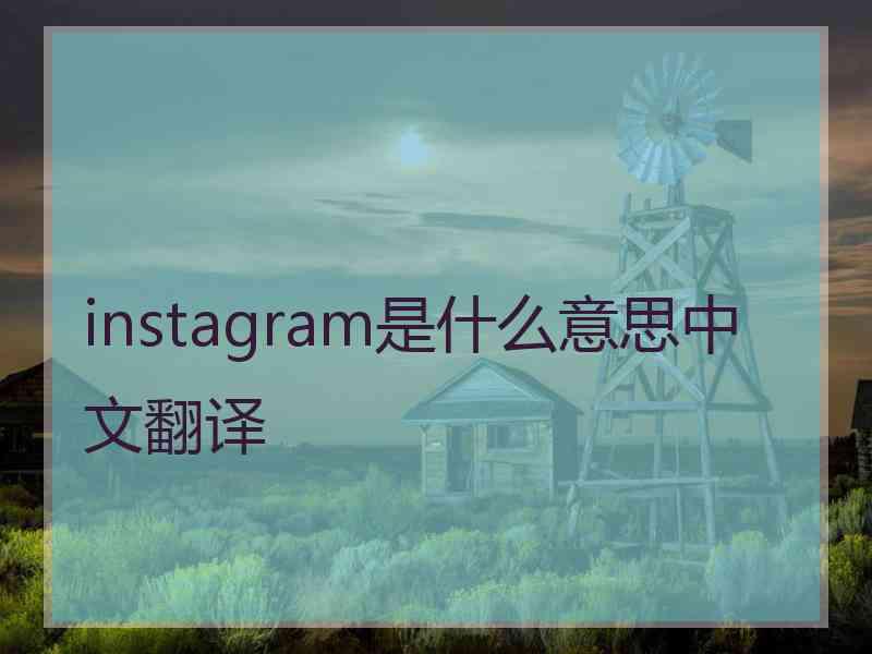 instagram是什么意思中文翻译