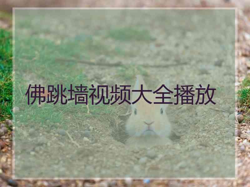 佛跳墙视频大全播放