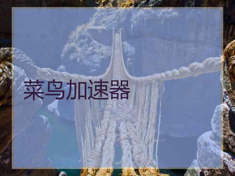 菜鸟加速器