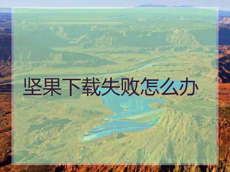 坚果下载失败怎么办