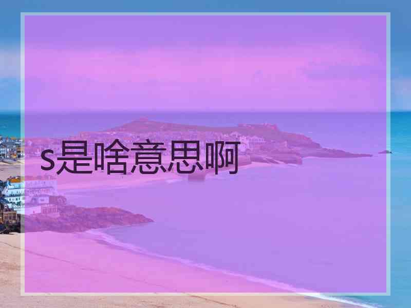 s是啥意思啊