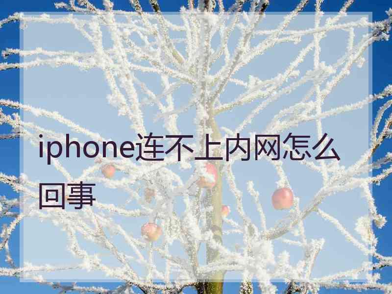 iphone连不上内网怎么回事