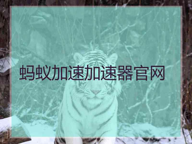蚂蚁加速加速器官网