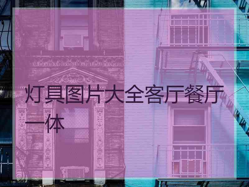 灯具图片大全客厅餐厅一体