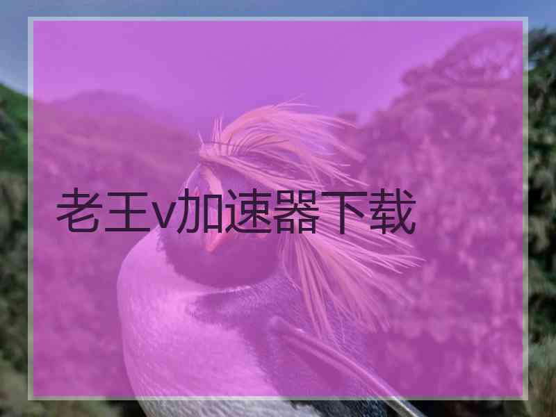 老王v加速器下载