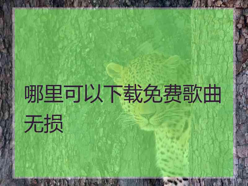 哪里可以下载免费歌曲无损